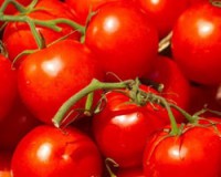 /album/recepten-hartig-en-zoet/tomaten-1-jpg/